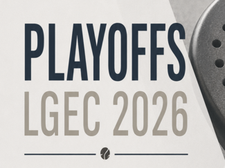 Ligaplayoff